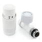 Classic Thermostatic Radiator Valve - Straight - White