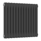 Colona Horizontal Two Column Radiator- Anthracite - Various Sizes