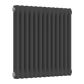 Colona Horizontal Two Column Radiator- Anthracite - Various Sizes